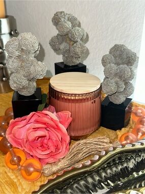 GRAPEFRUIT THORN, SCENT UNLEASHED LLC